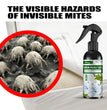 Mite Killer Spray Harmless