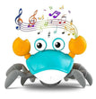 Cute Crab Toy Adeeba's Collection