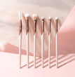 Exquisite Eye Kit Trendy Zone